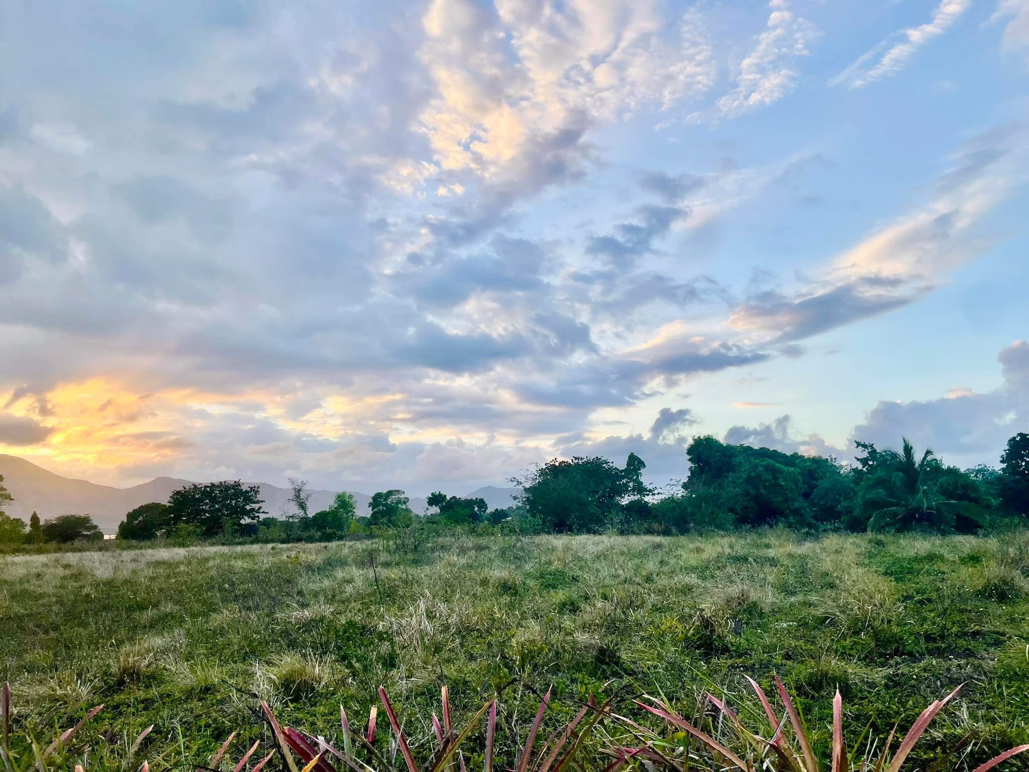Community landscape - Building Hope for Communities